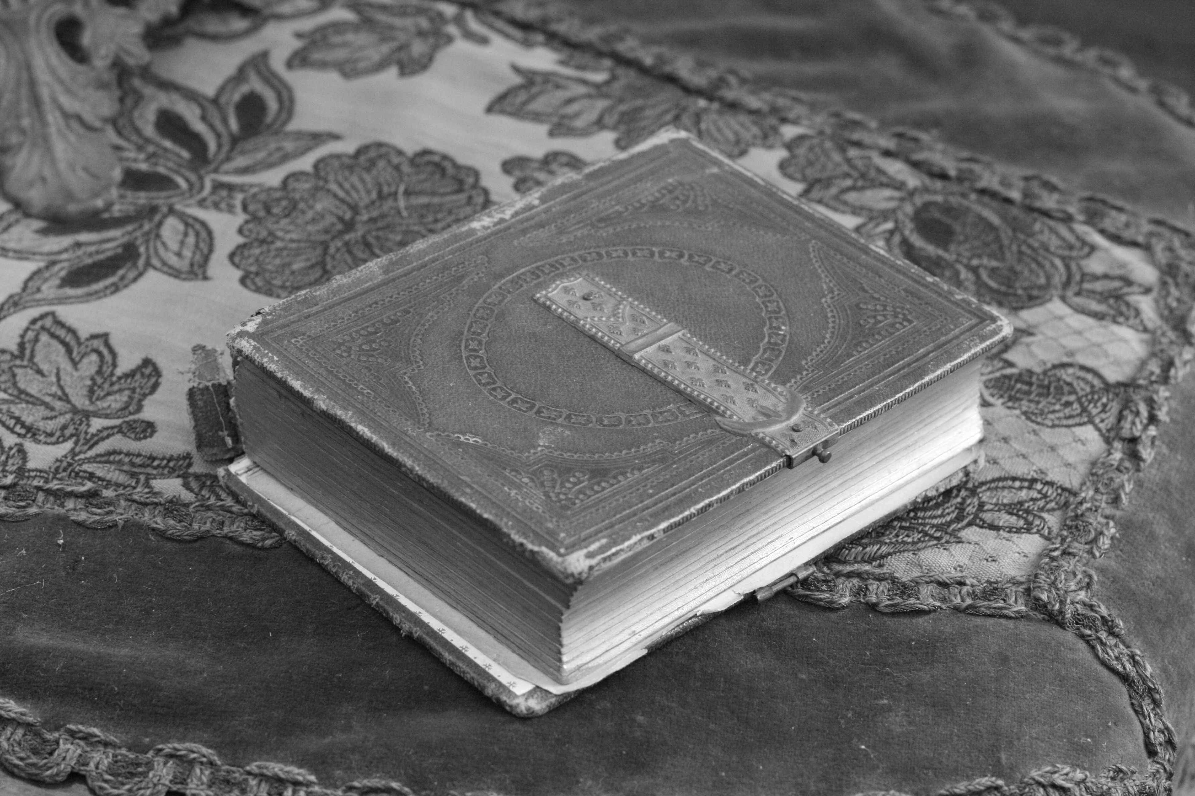 Novels | Kelly Ann Jacobson